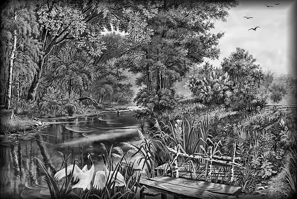 Пейзаж для гравировки