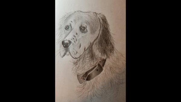 Бим чёрное ухо нарисовать