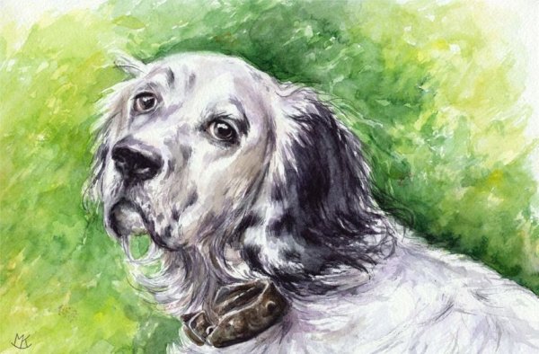 Белый Бим черное ухо детский рисунок