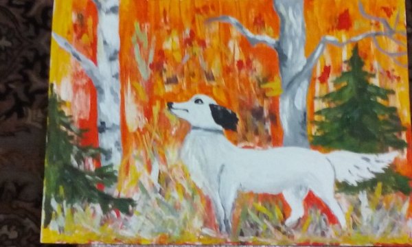 Иллюстрации к произведению белый Бим черное ухо