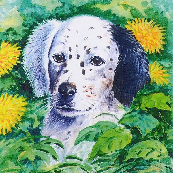 Рисунки белого Бима черное ухо