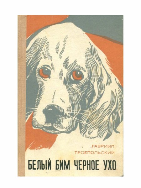 Кладовая солнца пёс