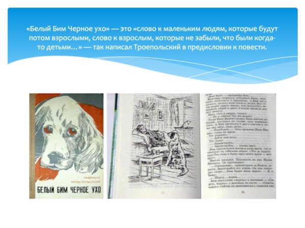 Белый Бим нарисовать