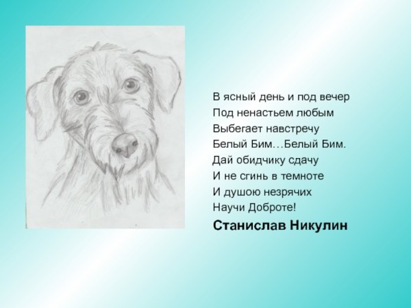 Белый Бим черное ухо читательский дневник