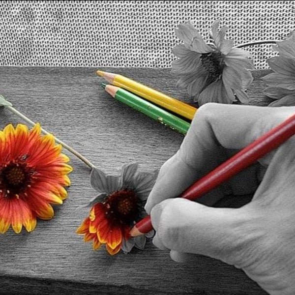 Раскрась свой мир яркими красками