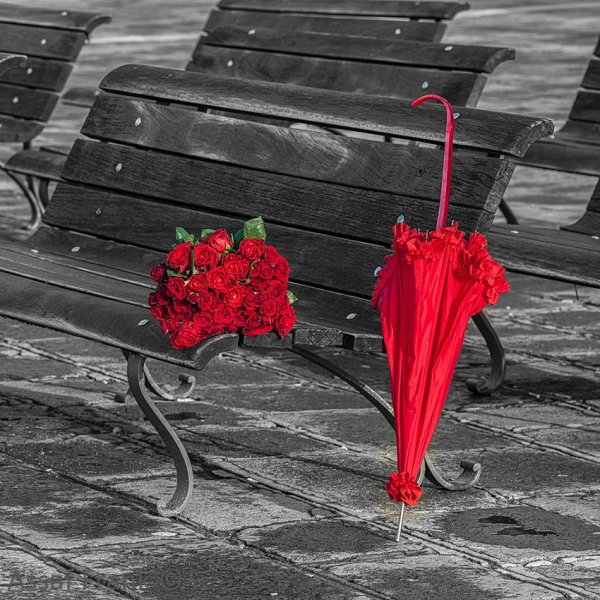 Ассаф Франк