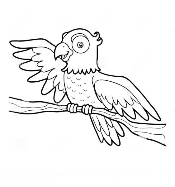 Какаду раскраска для детей