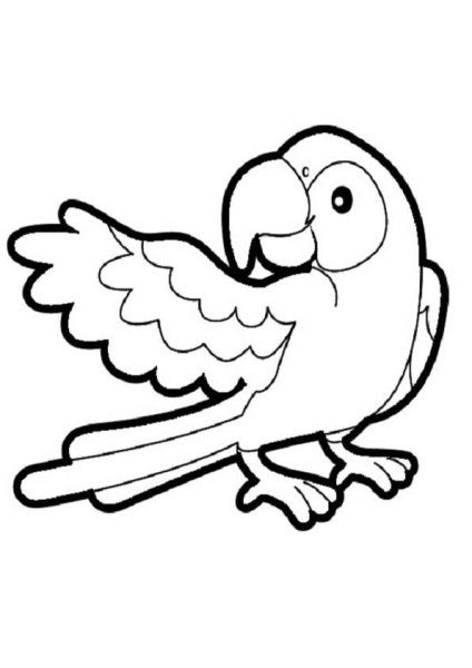 Попугай раскраска для малышей