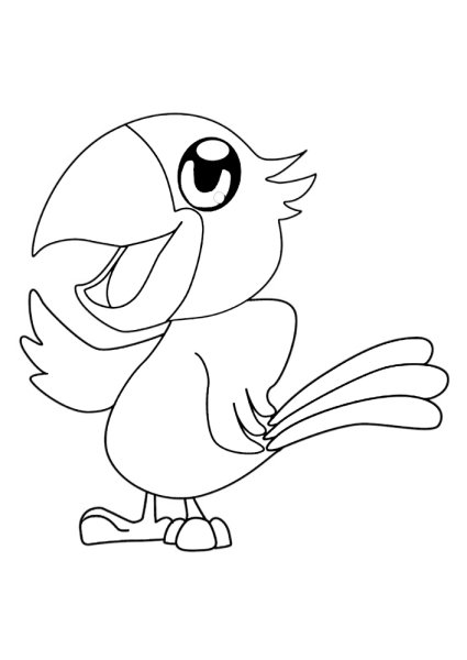 Раскраска попугай