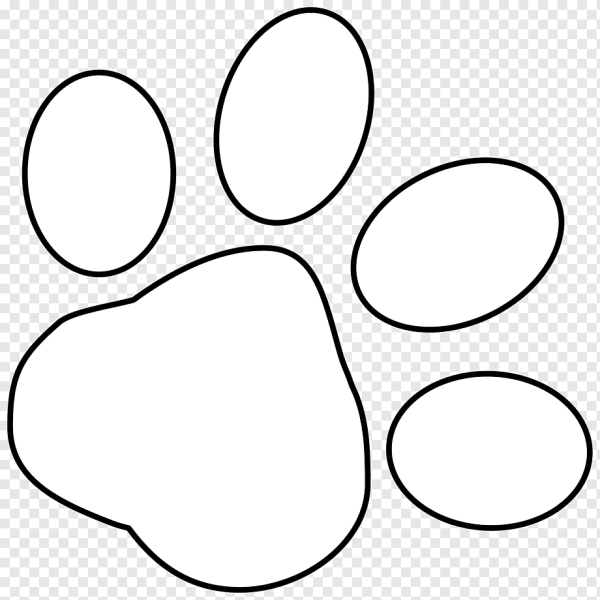 Контур лапы собаки
