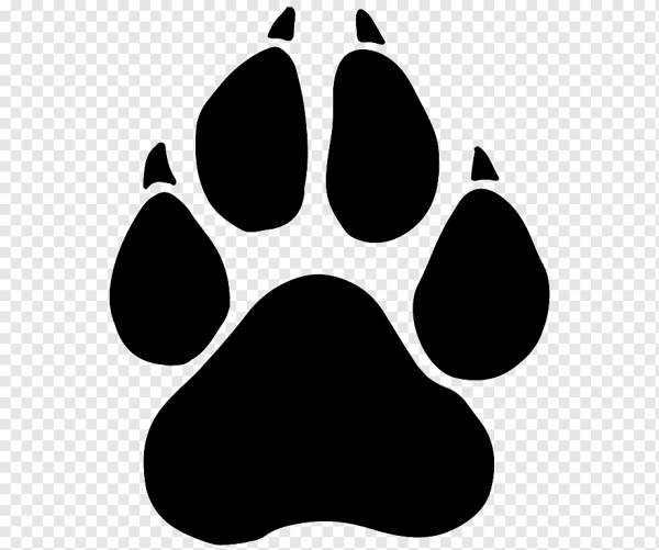 Отпечаток лапы