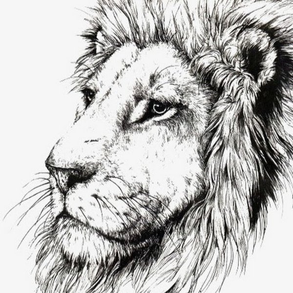 Голова Льва в профиль