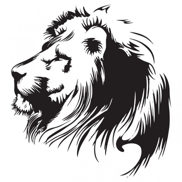 Лев тату эскиз