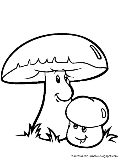 Грибы раскраска для детей