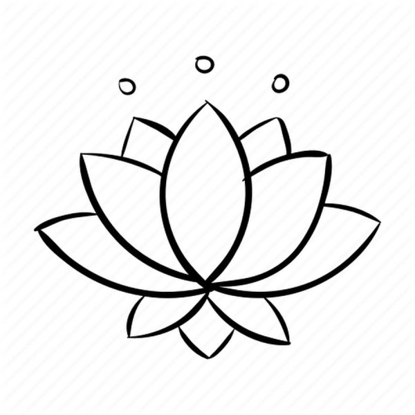 Лотос рисунок