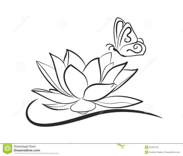 Лотос рисунок карандашом