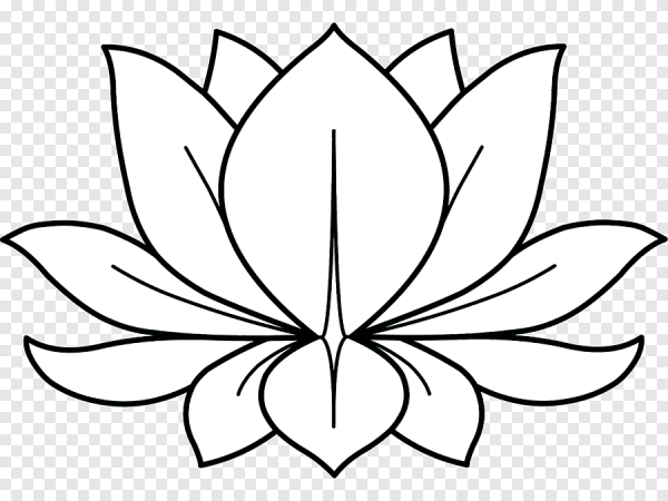 Лотос трафарет цветка