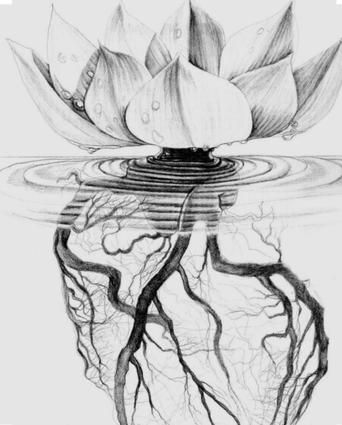 Цветы карандашом необычные