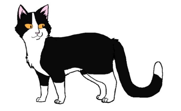 Коты Воители чёрно белые коты