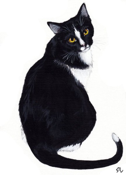 Черно белый кот арт