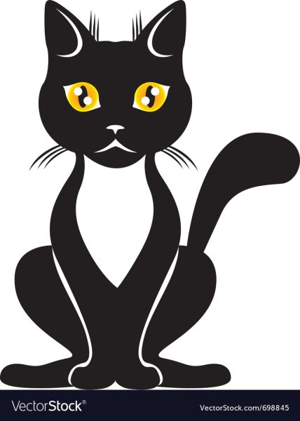 Графика черный кот с белой грудкой