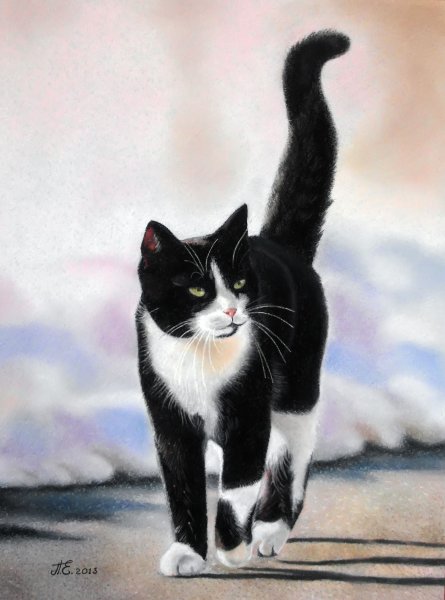 Черно белая кошка