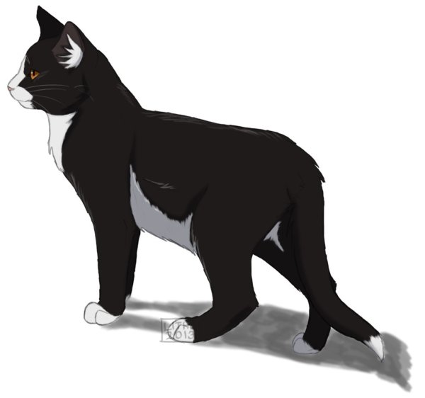 Звёздный Луч коты Воители арт