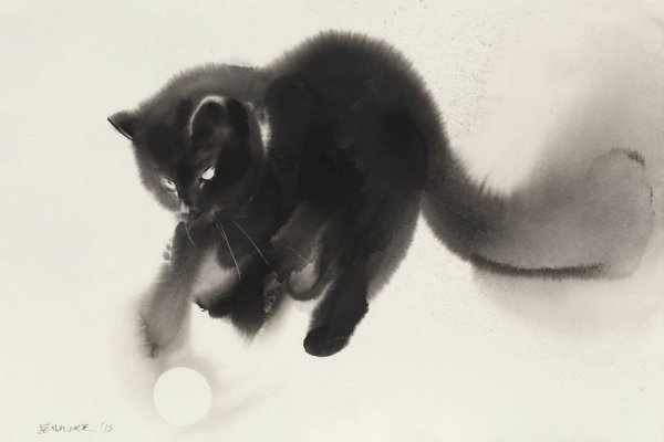 Акварель черно белый котики