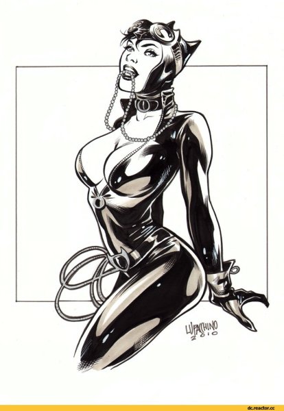 Супергерои женщина кошка