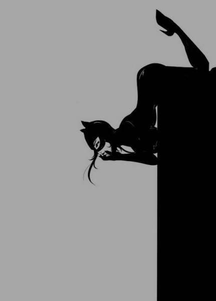 Бэтмен и женщина кошка 18