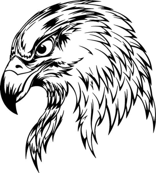Орел эскиз легкий