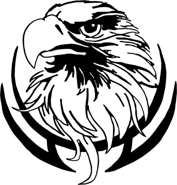 Голова орла рисунок