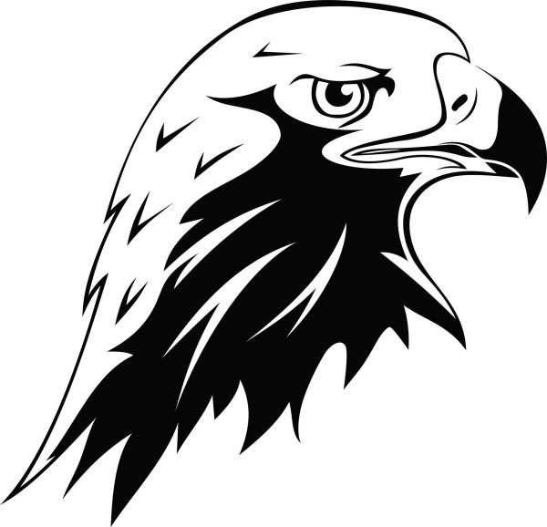 Контур головы орла