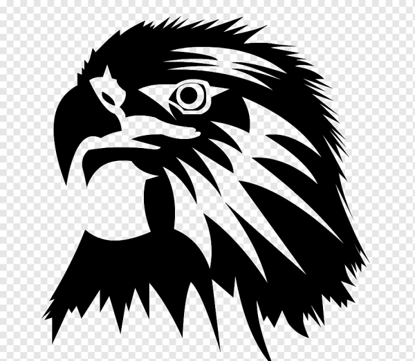 Голова орла