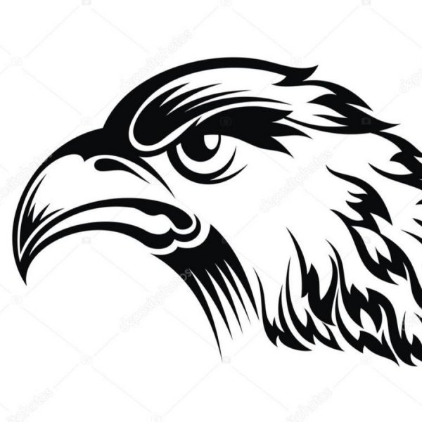 Контур головы орла