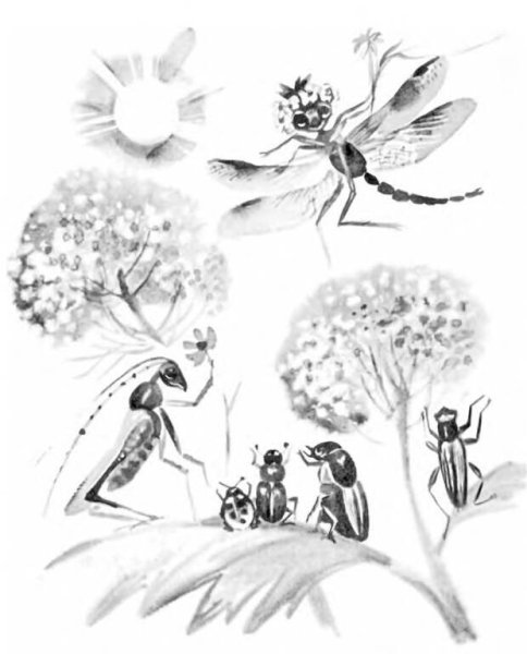 Басня Крылова Стрекоза и муравей