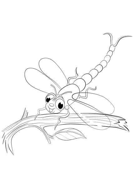 Стрекоза сидит на цветке одной линией