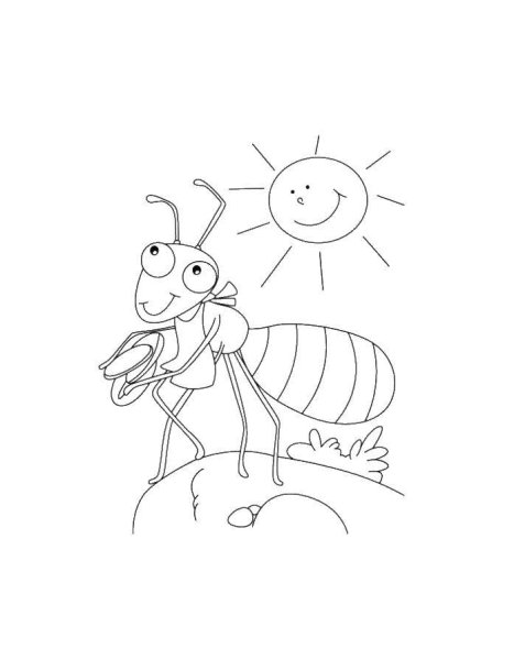 Бианки приключения муравьишки раскраска