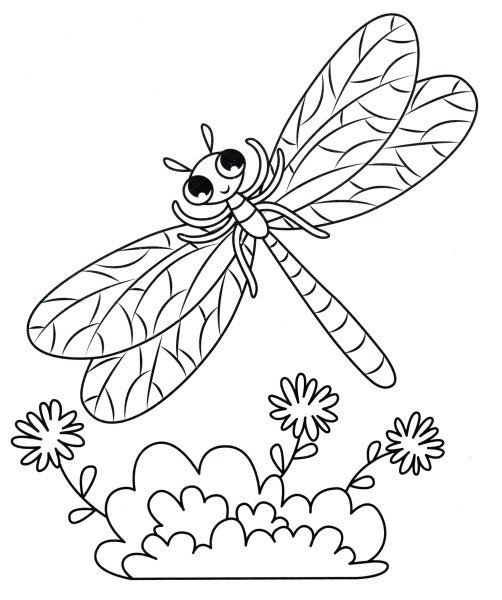 Стрекоза раскраска для детей