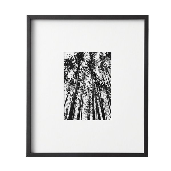 Графика в паспарту