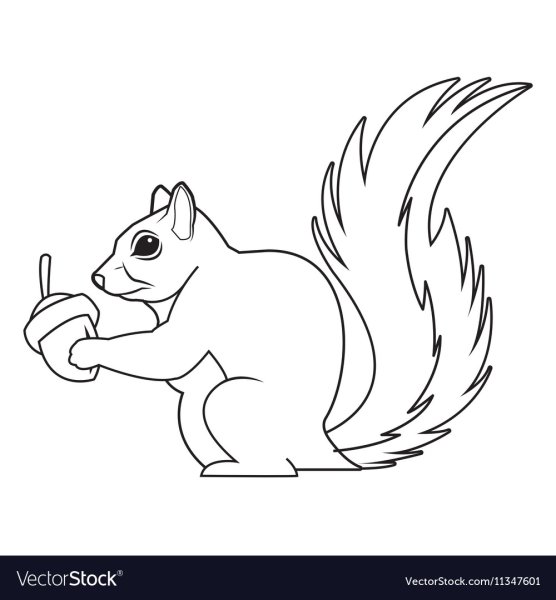 Белка черно белая