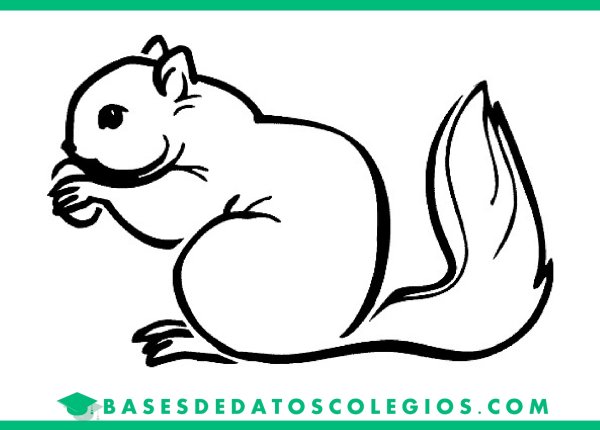 Белочка контур