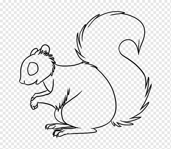 Белочка рисунок