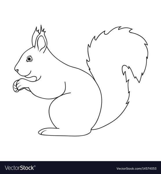 Белка с орешками раскраска для детей