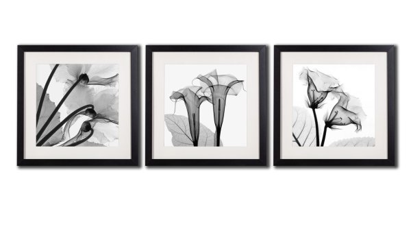 Картина в черной рамке