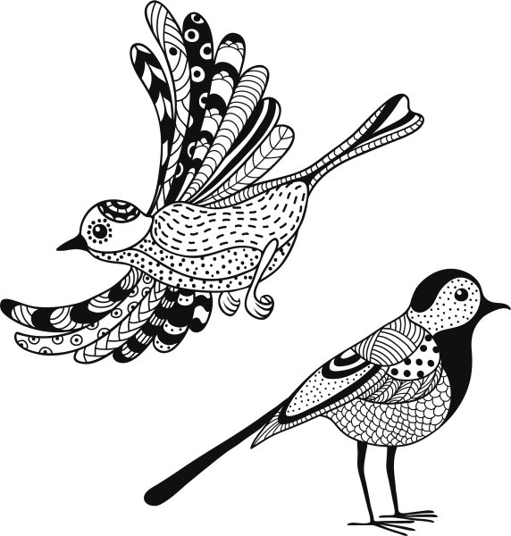 Птицы Графика