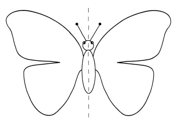 Зеркальная симметрия бабочка