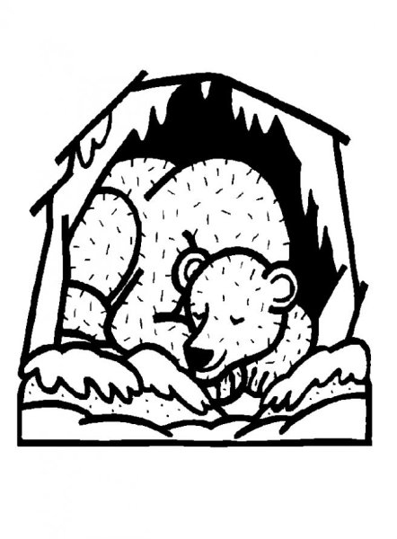 Медведь в берлоге раскраска для детей