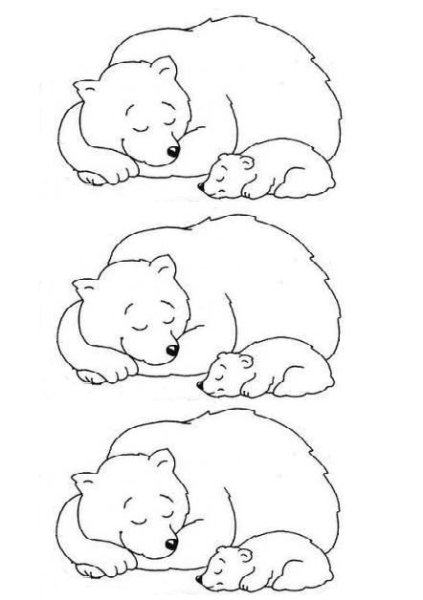 Медведь в берлоге раскраска для детей
