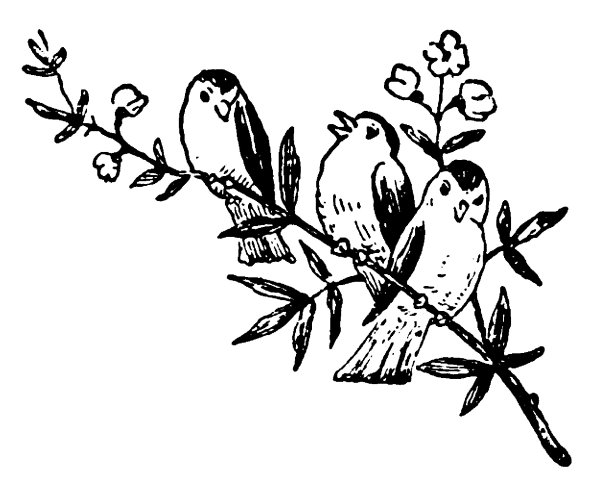 Птица на ветке черно белый